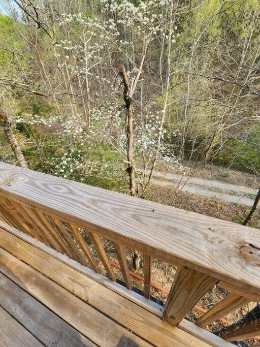 Dancing Bear Cabin- Relax & Enjoy! Sevierville Exterior foto